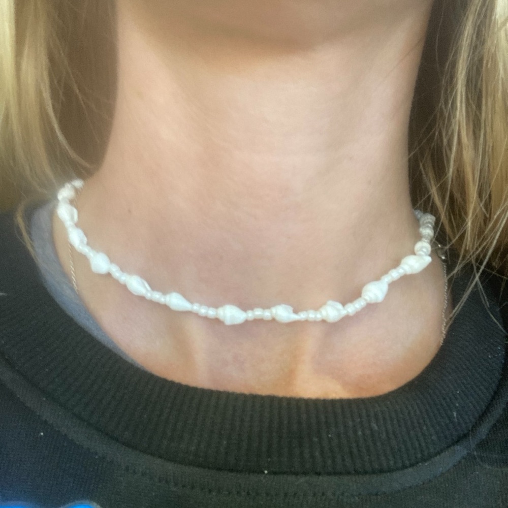 Gorgeous dainty seashell choker with adjustable cord